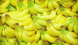 香蕉美女视频,性感魅力，一“蕉”倾心